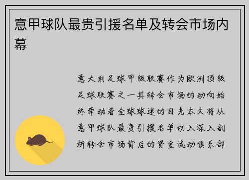 意甲球队最贵引援名单及转会市场内幕